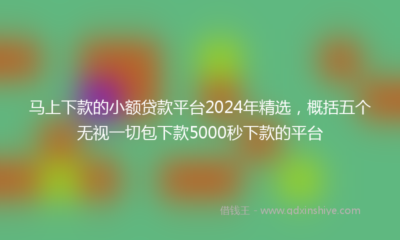 马上下款的小额贷款平台2024年精选，概括五个无视一切包下款5000秒下款的平台