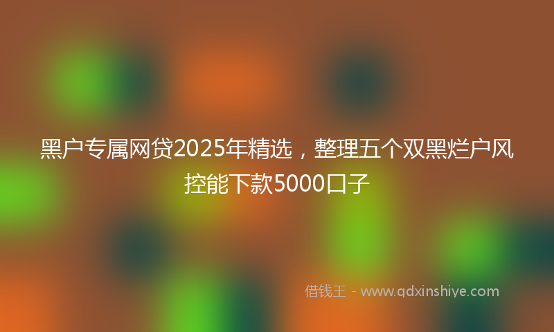 黑户专属网贷2025年精选，整理五个双黑烂户风控能下款5000口子