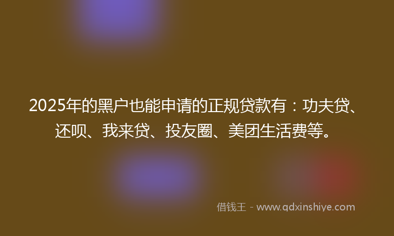 2025年的黑户也能申请的正规贷款有：功夫贷、还呗、我来贷、投友圈、美团生活费等。