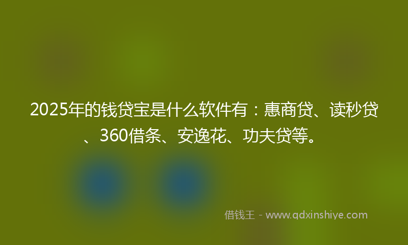 2025年的钱贷宝是什么软件有：惠商贷、读秒贷、360借条、安逸花、功夫贷等。