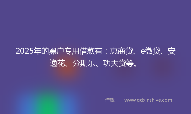 2025年的黑户专用借款有：惠商贷、e微贷、安逸花、分期乐、功夫贷等。