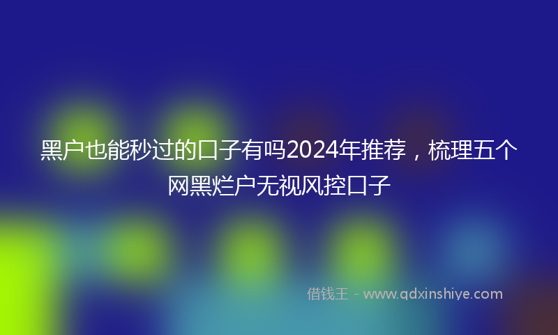 黑户也能秒过的口子有吗2024年推荐，梳理五个网黑烂户无视风控口子