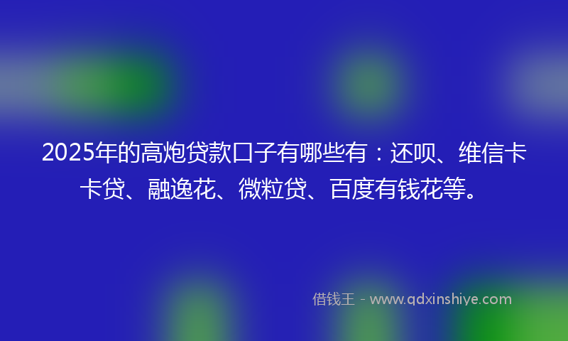 2025年的高炮贷款口子有哪些有：还呗、维信卡卡贷、融逸花、微粒贷、百度有钱花等。