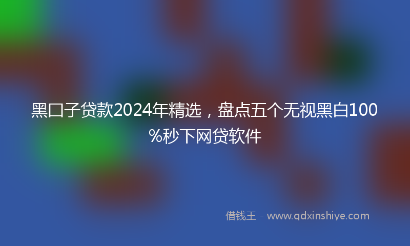 黑囗子贷款2024年精选，盘点五个无视黑白100%秒下网贷软件