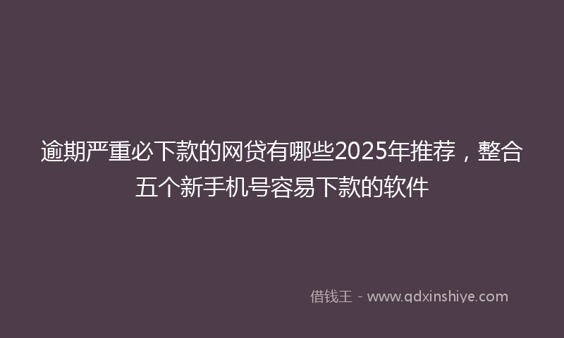 逾期严重必下款的网贷有哪些2025年推荐，整合五个新手机号容易下款的软件