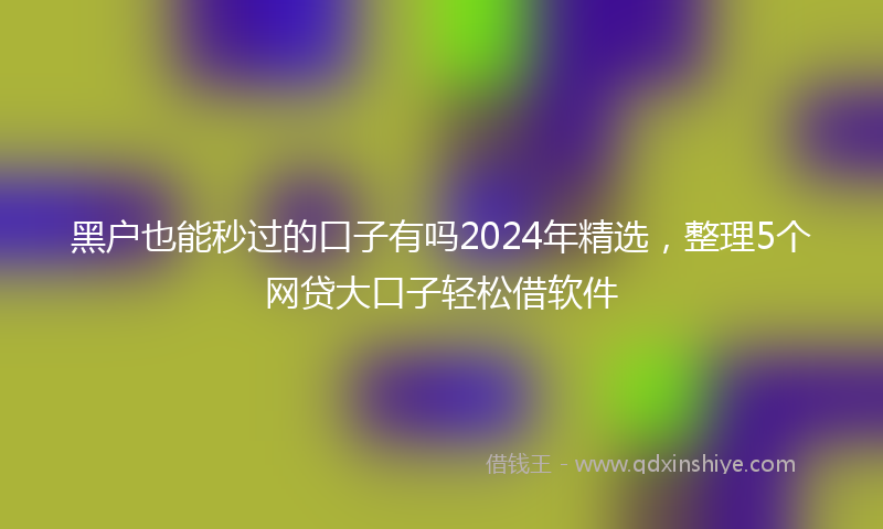 黑户也能秒过的口子有吗2024年精选，整理5个网贷大口子轻松借软件
