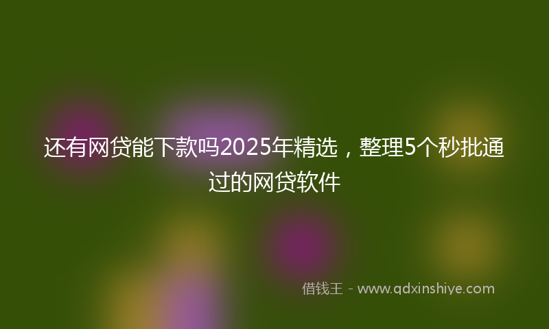 还有网贷能下款吗2025年精选，整理5个秒批通过的网贷软件
