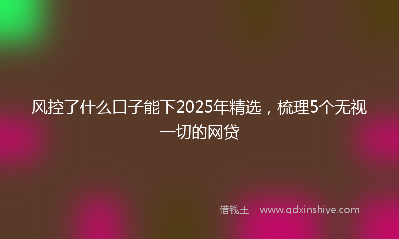 风控了什么口子能下2025年精选，梳理5个无视一切的网贷