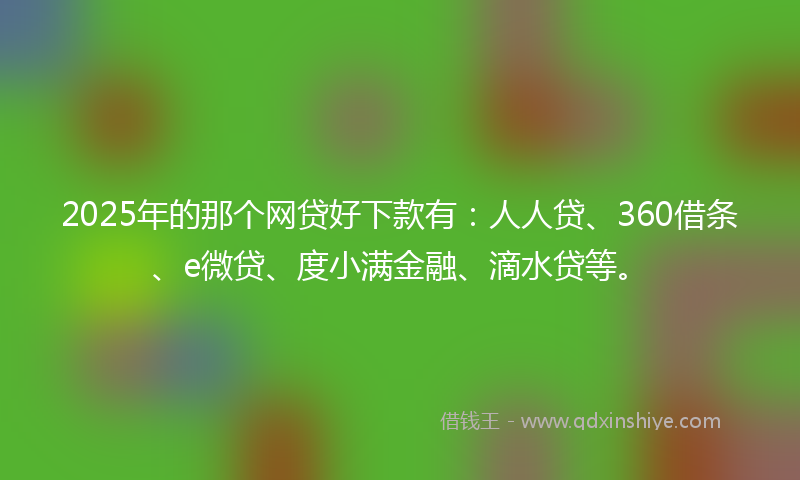 2025年的那个网贷好下款有：人人贷、360借条、e微贷、度小满金融、滴水贷等。