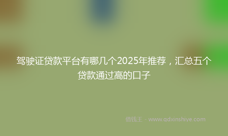 驾驶证贷款平台有哪几个2025年推荐，汇总五个贷款通过高的口子