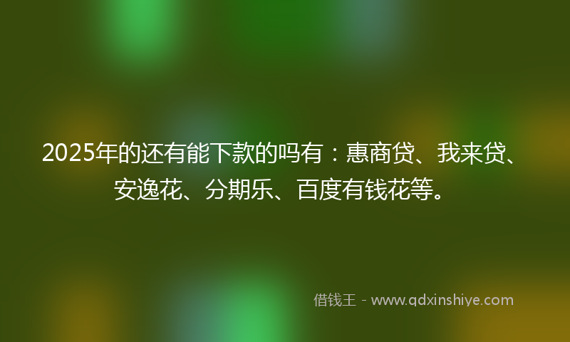 2025年的还有能下款的吗有：惠商贷、我来贷、安逸花、分期乐、百度有钱花等。