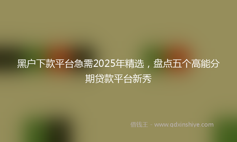 黑户下款平台急需2025年精选，盘点五个高能分期贷款平台新秀