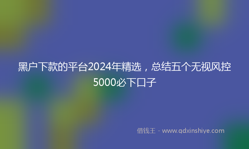 黑户下款的平台2024年精选，总结五个无视风控5000必下口子