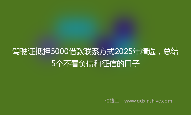 驾驶证抵押5000借款联系方式2025年精选，总结5个不看负债和征信的口子