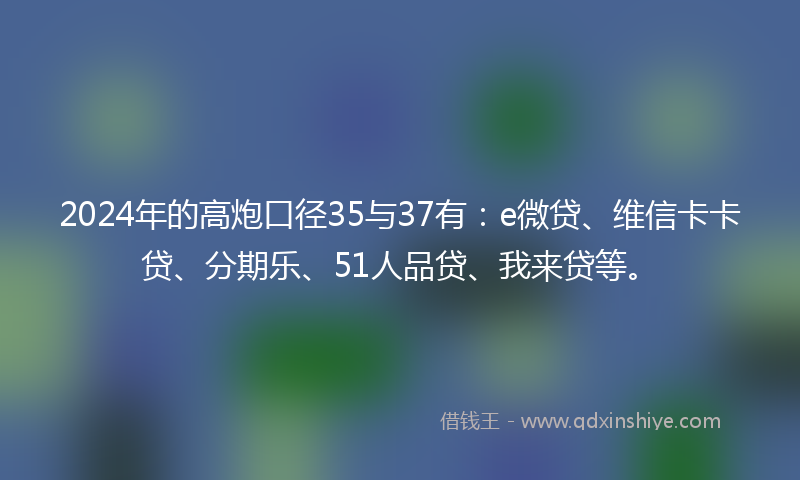 2024年的高炮口径35与37有：e微贷、维信卡卡贷、分期乐、51人品贷、我来贷等。