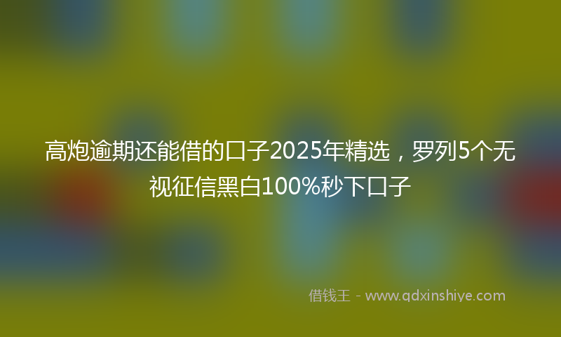 高炮逾期还能借的口子2025年精选，罗列5个无视征信黑白100%秒下口子