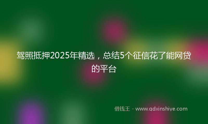 驾照抵押2025年精选，总结5个征信花了能网贷的平台
