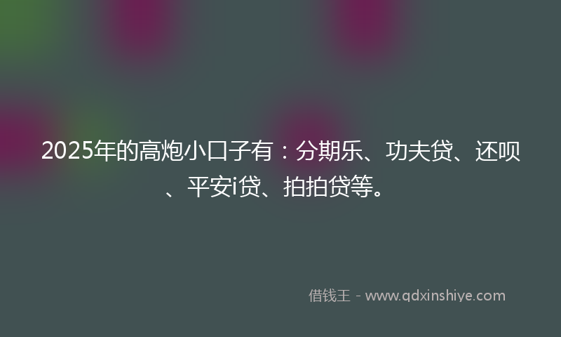 2025年的高炮小口子有：分期乐、功夫贷、还呗、平安i贷、拍拍贷等。