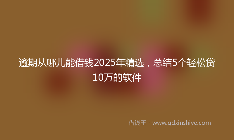 逾期从哪儿能借钱2025年精选，总结5个轻松贷10万的软件