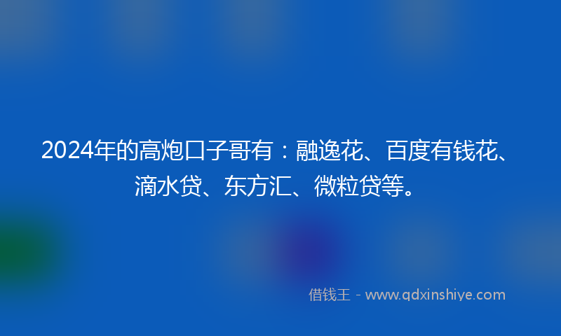 2024年的高炮口子哥有：融逸花、百度有钱花、滴水贷、东方汇、微粒贷等。