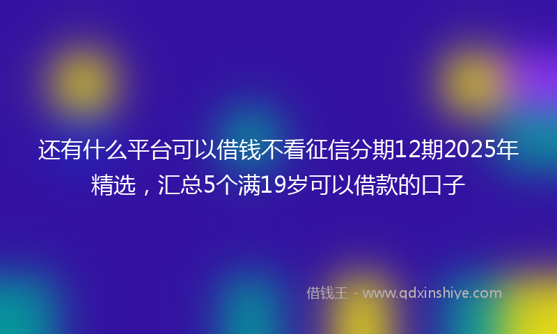 还有什么平台可以借钱不看征信分期12期2025年精选，汇总5个满19岁可以借款的口子