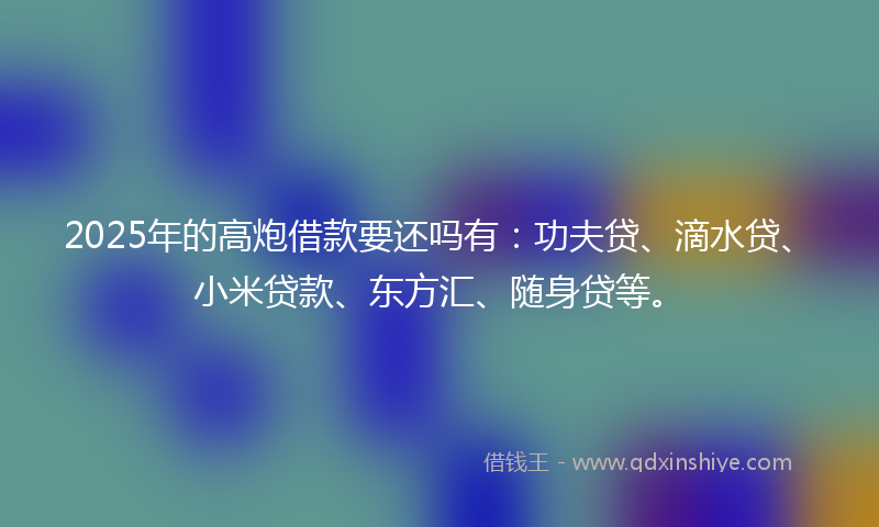 2025年的高炮借款要还吗有：功夫贷、滴水贷、小米贷款、东方汇、随身贷等。