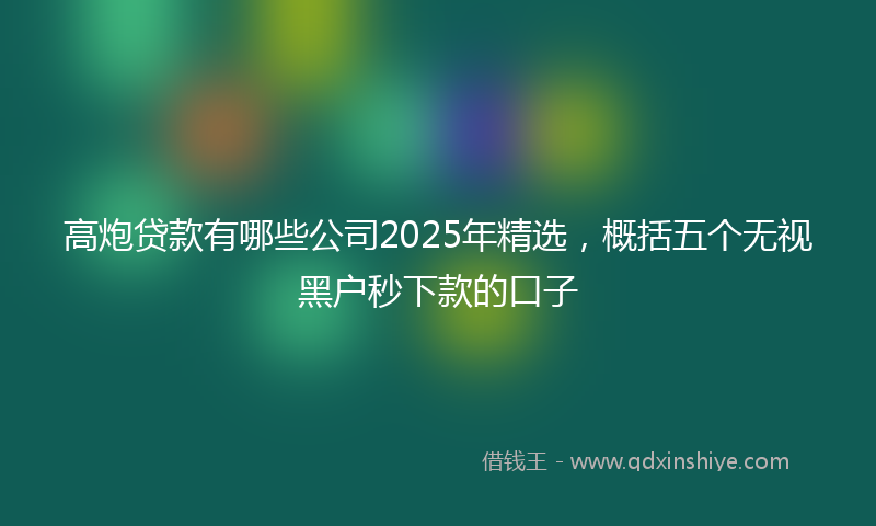 高炮贷款有哪些公司2025年精选，概括五个无视黑户秒下款的口子