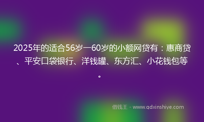 2025年的适合56岁一60岁的小额网贷有：惠商贷、平安口袋银行、洋钱罐、东方汇、小花钱包等。