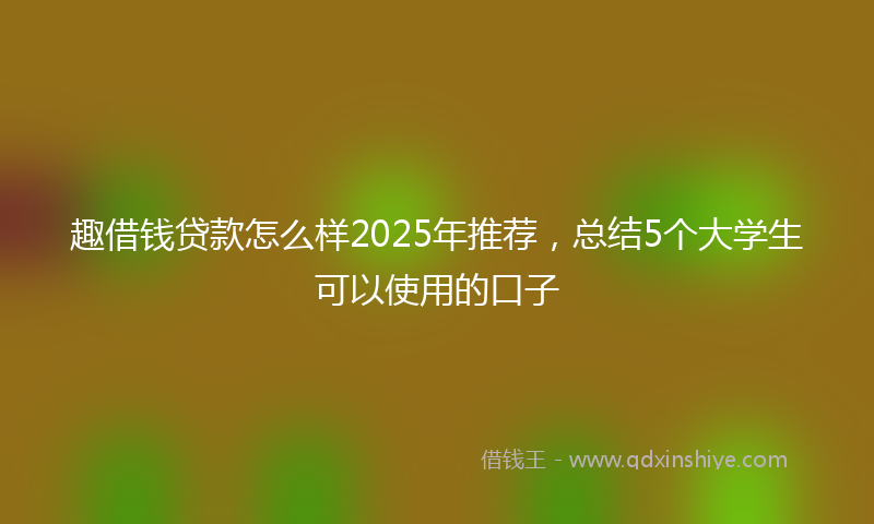 趣借钱贷款怎么样2025年推荐，总结5个大学生可以使用的口子