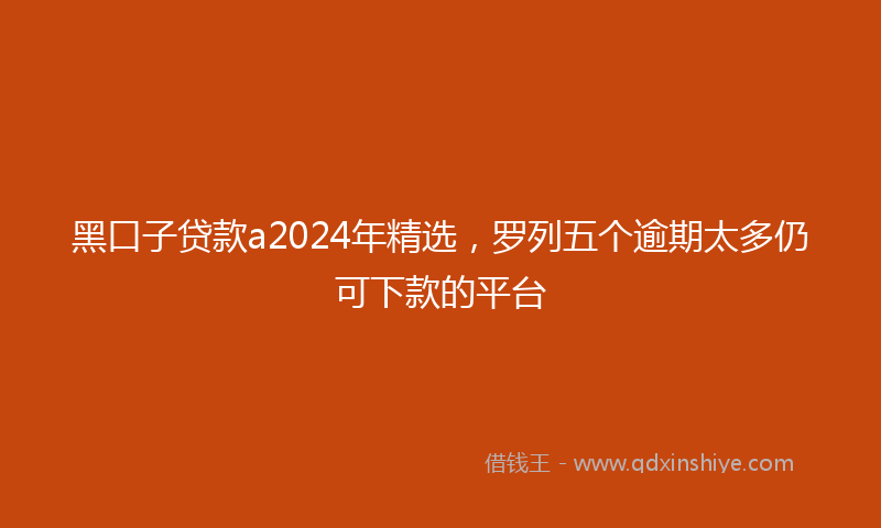 黑口子贷款a2024年精选，罗列五个逾期太多仍可下款的平台