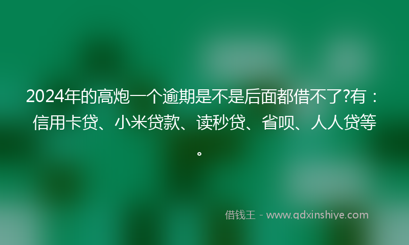 2024年的高炮一个逾期是不是后面都借不了?有：信用卡贷、小米贷款、读秒贷、省呗、人人贷等。