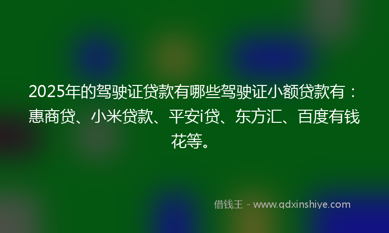 2025年的驾驶证贷款有哪些驾驶证小额贷款有：惠商贷、小米贷款、平安i贷、东方汇、百度有钱花等。