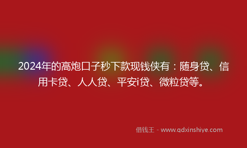 2024年的高炮口子秒下款现钱侠有：随身贷、信用卡贷、人人贷、平安i贷、微粒贷等。