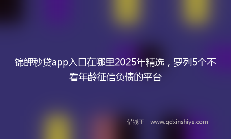 锦鲤秒贷app入口在哪里2025年精选，罗列5个不看年龄征信负债的平台
