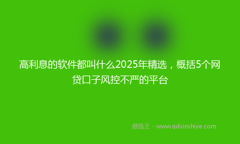 高利息的软件都叫什么2025年精选，概括5个网贷口子风控不严的平台