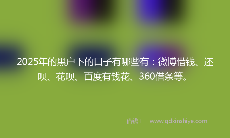 2025年的黑户下的口子有哪些有:微博借钱、还呗、花呗、百度有钱花、360借条等。
