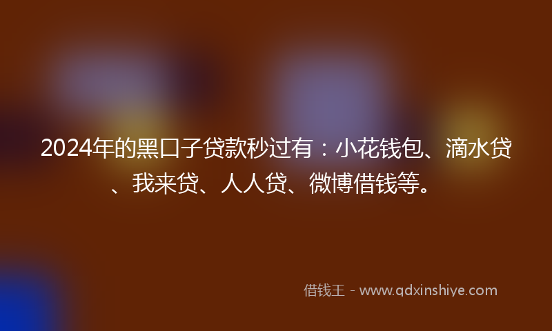 2024年的黑口子贷款秒过有：小花钱包、滴水贷、我来贷、人人贷、微博借钱等。