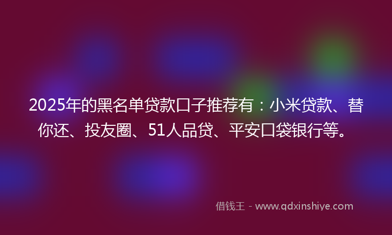 2025年的黑名单贷款口子推荐有：小米贷款、替你还、投友圈、51人品贷、平安口袋银行等。
