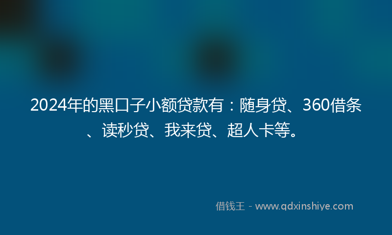 2024年的黑口子小额贷款有：随身贷、360借条、读秒贷、我来贷、超人卡等。