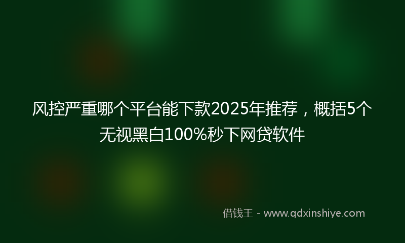 风控严重哪个平台能下款2025年推荐，概括5个无视黑白100%秒下网贷软件