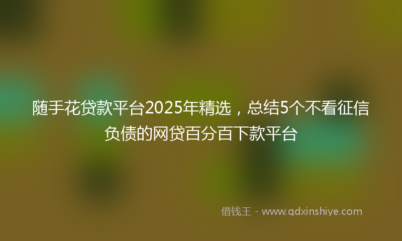 随手花贷款平台2025年精选，总结5个不看征信负债的网贷百分百下款平台