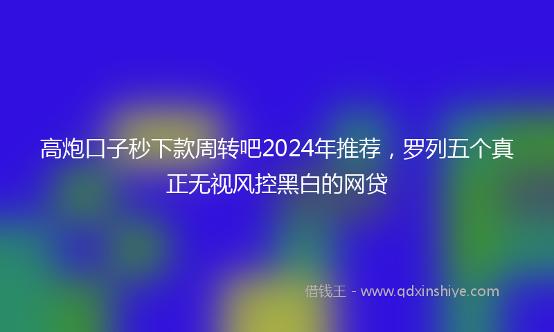 高炮口子秒下款周转吧2024年推荐，罗列五个真正无视风控黑白的网贷