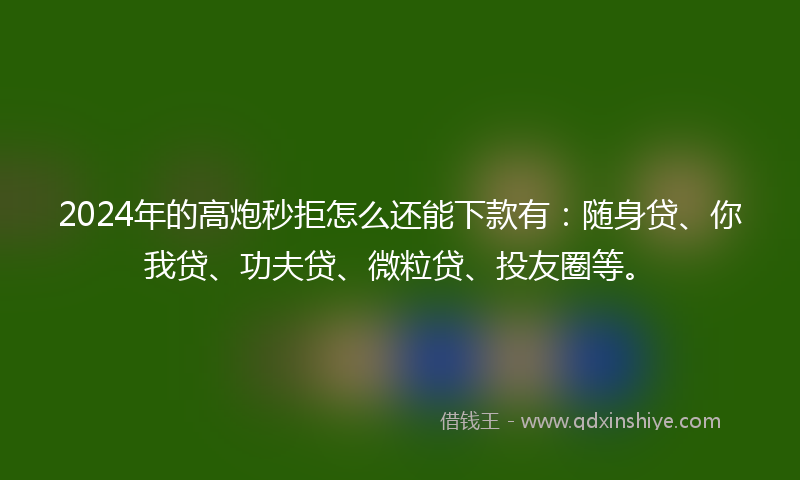 2024年的高炮秒拒怎么还能下款有：随身贷、你我贷、功夫贷、微粒贷、投友圈等。