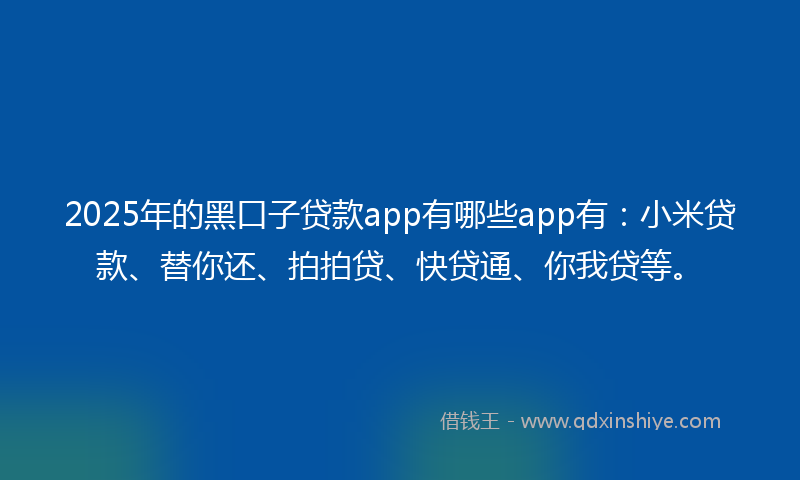2025年的黑口子贷款app有哪些app有：小米贷款、替你还、拍拍贷、快贷通、你我贷等。