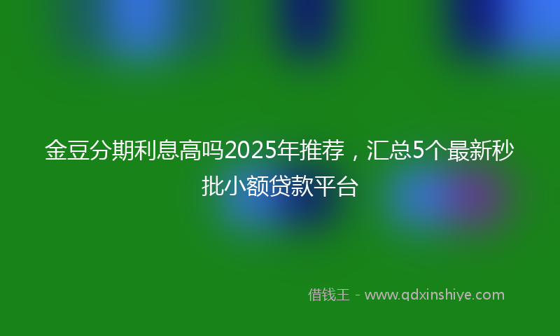 金豆分期利息高吗2025年推荐，汇总5个最新秒批小额贷款平台
