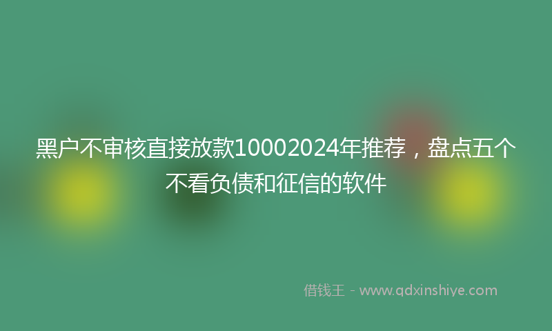 黑户不审核直接放款10002024年推荐，盘点五个不看负债和征信的软件