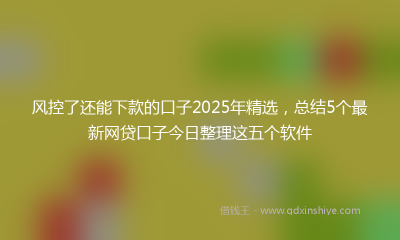 风控了还能下款的口子2025年精选，总结5个最新网贷口子今日整理这五个软件