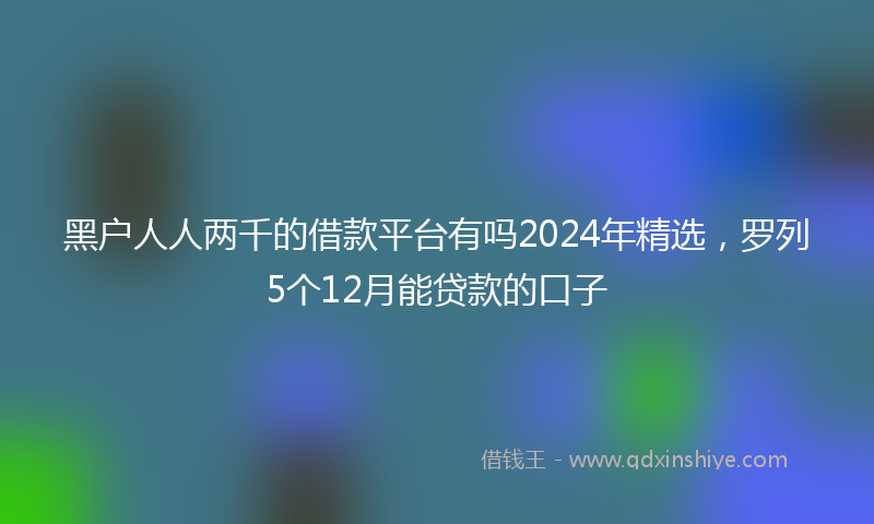 黑户人人两千的借款平台有吗2024年精选，罗列5个12月能贷款的口子