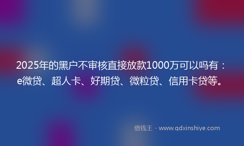 2025年的黑户不审核直接放款1000万可以吗有：e微贷、超人卡、好期贷、微粒贷、信用卡贷等。