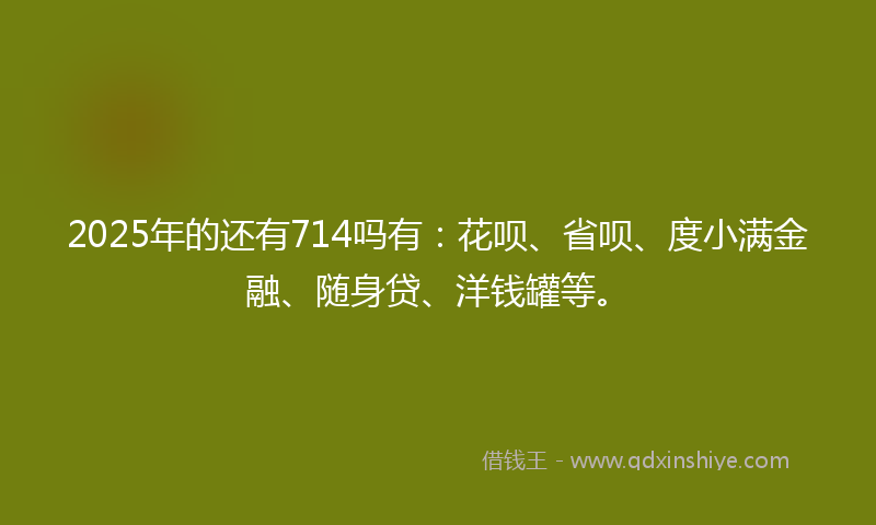 2025年的还有714吗有：花呗、省呗、度小满金融、随身贷、洋钱罐等。